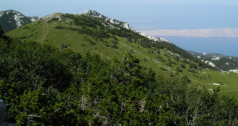 009 Severni Velebit